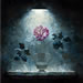 roses on the sky 