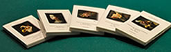 The collection of 5 video lessons